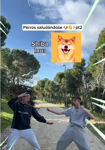 Humor de Perritos: Memes Divertidos Para Reír