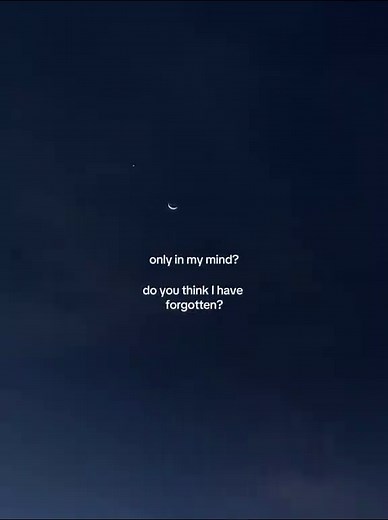 Guilty as Sin - Taylor Swift & The 1975 - Lyrics