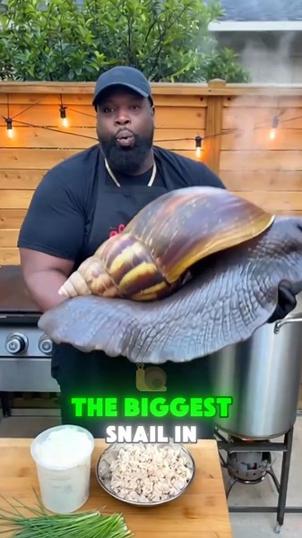 Biggest vs Smallest SNAIL🐌
