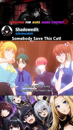 Somebody Save This Cat!🤣#anime #animeedit