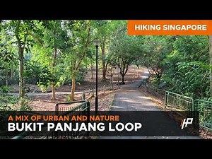 [Hiking Singapore] Bukit Panjang Loop (Pang Sua Pond, Zhenghua Park, Wallace Trail, Rail Corridor)