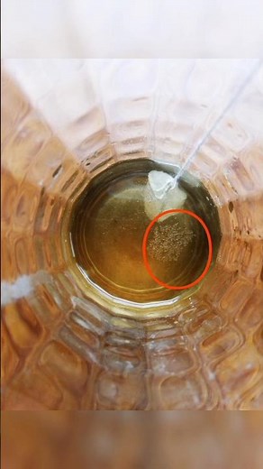 Potash Alum Crystal Making.😁👍Learn How to Make? 😎 #experiment #chemistry