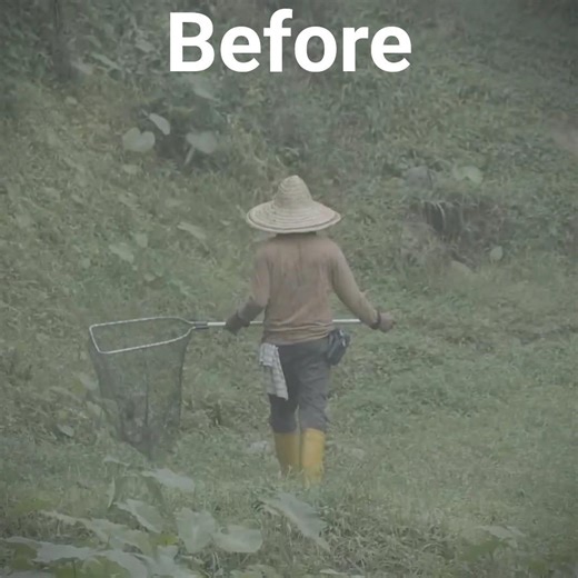 Flat to Cinematic 😱 Before vs After Color Grading (Mobile Editing)