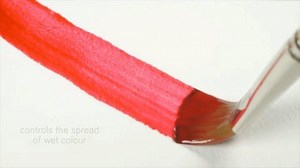 4.3K views · 34 reactions | ¿Sabías para qué sirve la Goma Arábiga? 朗 ​Este medium es ideal para aumentar la transparencia, luminosidad y el brillo de tus acuarelas⚡李 y por si fuera poco, reduce las manchas y retarda el secado! ​ ​​ ​#coloranimal #winsorandnewton #acuarela ​ Encuentra más videos como este en nuestro canal de youtube! ​www.youtube.com/coloranimalvideos | Color Animal | Facebook