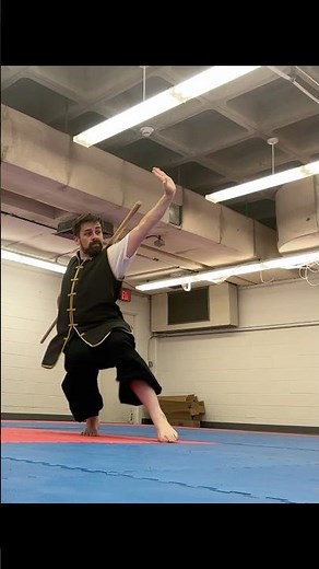 This is how kung fu staff should be done. #kungfu #martialarts