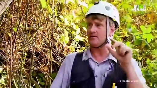 Treehouse Masters - Se3 - Ep02 HD Watch