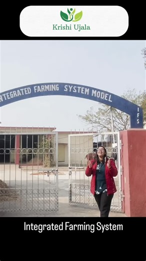 KRISHI UJALA on Instagram: "Integrated Farming System isn’t just farming ..it’s smart farming.” In an Integrated Farming System, different farm enterprises like crops, livestock, poultry, fishery, and agroforestry work together as one unit. The waste of one becomes the resource for another — nothing is wasted, everything is reused. Crop residues feed animals, animal waste enriches the soil, and healthier soil produces better crops. This system reduces cost, increases income, improves soil health