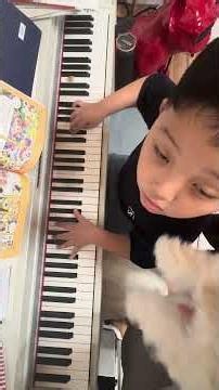 슈베르트 2악장 #piano