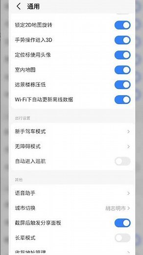 How to change Amap language to English