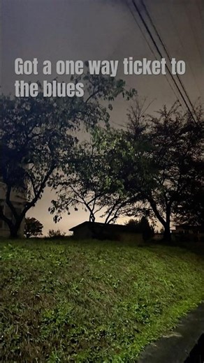 2026.4.14【One Way Ticket Blue ／Neil Sedakeさん1950】