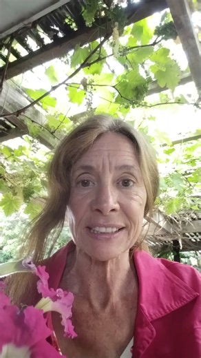 Merry Christmas from Sue and the team at New Zealand Outdoors & Freedom Party . It's been a huge year and they keep throwing more issues at us. Not it's the random roadside testing laws that the Attorney General and NZ Law Society agree breach the NZ Bill of Rights. Lots to unravel here! Take time to relax and celebrate but let's also start to prepare for a big year next year. Together we can make a difference. Together we've got this. | New Zealand Outdoors & Freedom Party