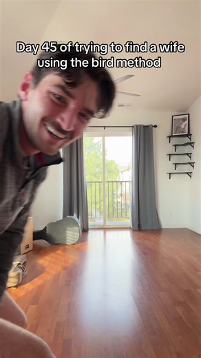 Moved to utah maybe it’ll work here #dance #wife #bird #utah | birds