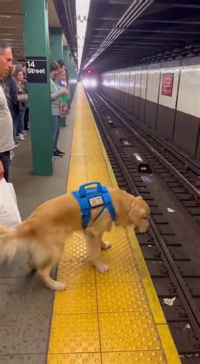 Exploring AI Video Generation on New York Trains