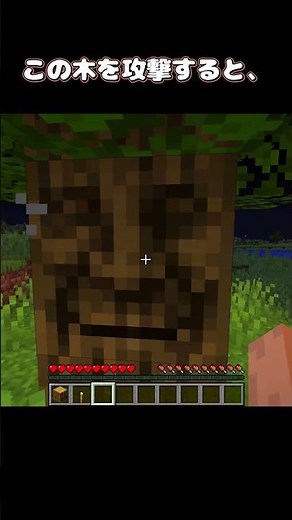 What kind of tree is this? [MOD introduction]