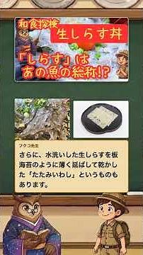 Do you know what kind of fish "shirasu" is? #trivia #cooking #history #slowexplanation