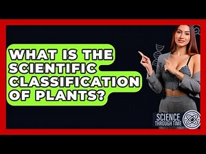 What Is The Scientific Classification Of Plants? - Science Through Time