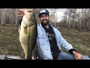 Best Bait Ever Catches Giant Largemouth Bass