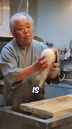 7.7K views · 13 reactions | Why do chefs press puffer fish #facts #animals #wildlife | Animal Theory | Facebook