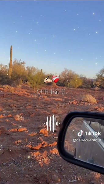 Chelo's Timeless Hits: A Musical Journey