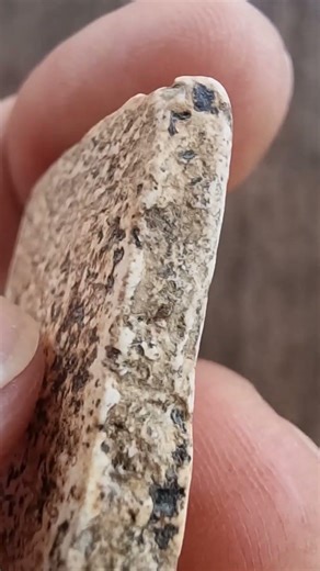 #Phra Somdej Bang Khun Phrom #Popular Amulets #Somdej Phuttha Chan To