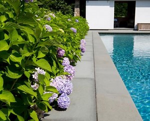 Local Landscaping Company in Beverly, MA | The Patio Company