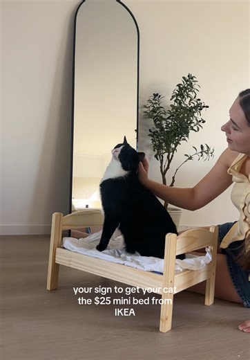 Mini Cat Bed from IKEA: Perfect for Your Feline Friend