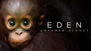 Eden: Untamed Planet - BBC America Series - Where To Watch
