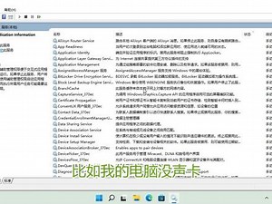 自编_系统服务管理工具，无限制批量修改/禁用/卸载系统服务 #系统优化 #windows11 #提速