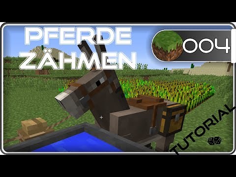 🌟 Minecraft Pferde zähmen - und reiten | Wiki | Tutorial #4 | Deutsch | CLM
