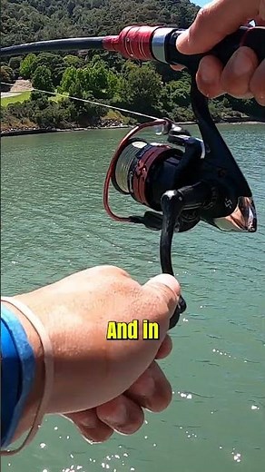 You won’t believe how easy it is to catch smelt! 🎣🔥 #FishingLife #SmeltFishing #BaitFish