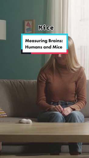 Comparing Human and Animal Brains: Understanding Intelligence