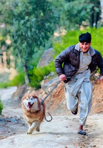 Commando the Dog is Back with New Adventures!