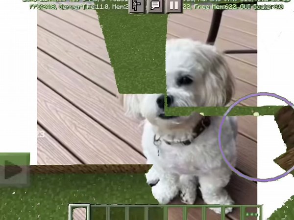 Goofyaahdog wake up #goofyahh #sowakemeup #meme #minecraft #capcut