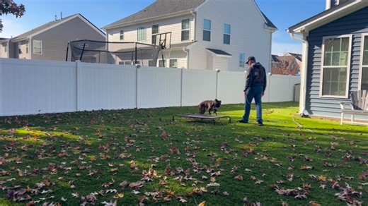 Finished up Smoky’s lesson with working on impulse control. #anchorupk9 | DeWayne Cabel | Facebook