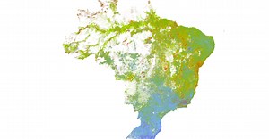 Um incrível mapa interativo para quem quer entender raça no Brasil