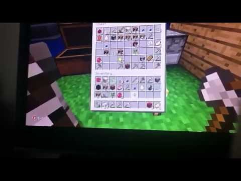 Let's play minecraft with Ethan and cole