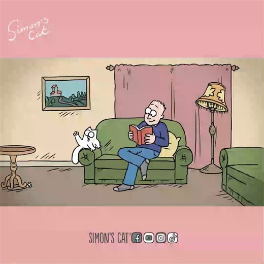 Cat vs. Spider! | Simon's Cat