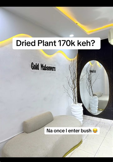 Embracing Dried Plant Decor Trends