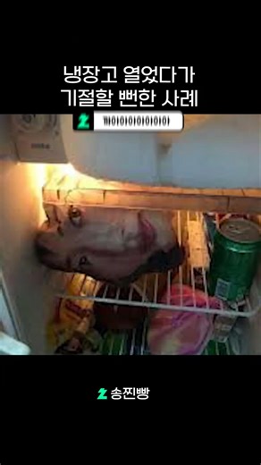 Cases where I almost fainted after opening the refrigerator
