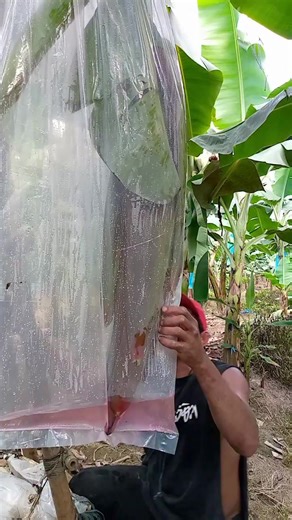 #fbreelsfypシ゚ #highlights #followersシ゚ #viewers Removal time👍 | Gary Mix Vlog