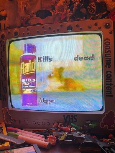 Vintage RAID commercial VHS TV Recording (SPRAY YOUR DOG WITH RAID)