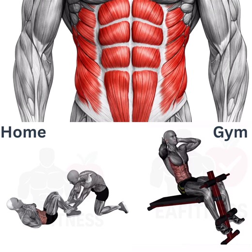 𝐇𝐎𝐌𝐄 𝐯𝐬 𝐆𝐘𝐌 💪 Assisted Sit-Up (Home) • Great for beginners • Builds core strength with support • Easy to do anywhere Bench Decline Ab Sit-Up (Gym) • Higher resistance, deeper core activation • Builds strength and definition • Ideal for advanced training Train smart. Progress with purpose. Become More. 🔗 Full exercise library: www.ea-fitness.co.uk #CoreTraining #Abs #𝐟𝐲𝐩 #𝐡𝐨𝐦𝐞𝐯𝐬𝐠𝐲𝐦 #𝐞𝐚𝐟𝐢𝐭𝐧𝐞𝐬𝐬