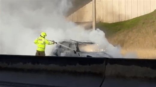 Fire crews tackle blaze near major Scots bridge after car bursts into flames