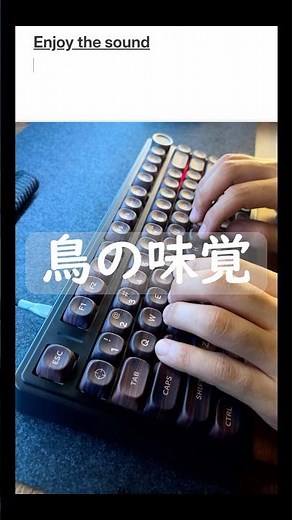 【ASMR・雑学】鳥は辛いの食べ放題！？ #asmr #typing #cozy #keyboard