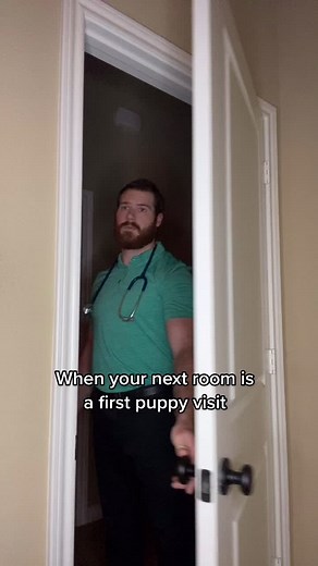 #drfinn #veterinarian #vetsoftiktok #dog #puppy #cat