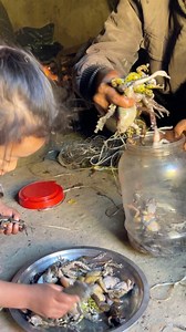 171K views · 3K reactions | #toadhunting #villagelifenepal #reels | Bishnu Budha | Facebook