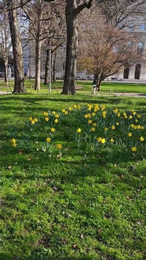 Spring in Switzerland. Thanks for subscribing ❤️