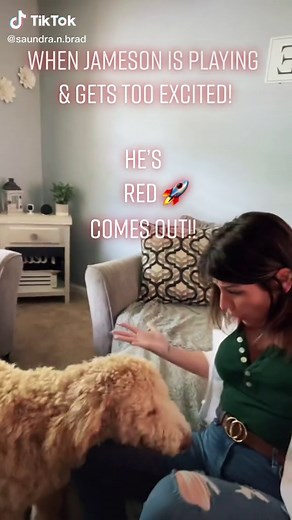 #jameson #saundraandbrad #fyp #foryou #dogsofttiktok #dogmomstruggles #goldendoodle #goldendoodlesoftiktok #redrocket #gross #youremyson #dogproblems