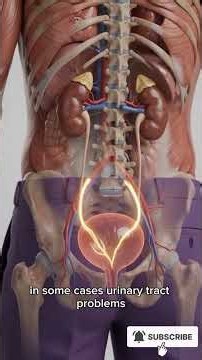 🚨 What really happens inside your body when you hold your pee for too long?
