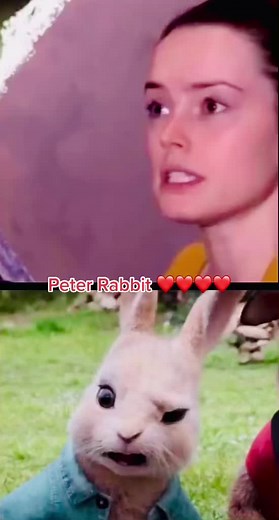 #peterrabbit #voice #behindthescene #cottontail #daisyridley #fyp #foryou #foryoupage #tiktok #behindthescenecartoon #canberra #2022